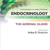 Endocrinology Adult and Pediatric: The Adrenal Gland
