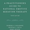A Practitioner's Guide to Rational Emotive Behavior Therapy - Image 3