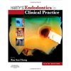 Harty'S Endodontics In Clinical Practice , 6Th Edition